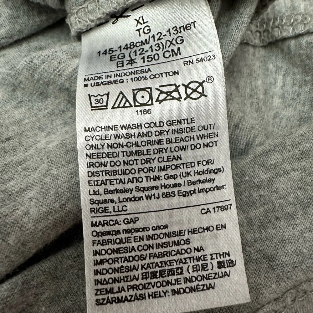 GapKids Graphic Tee in Heather Gray Size XL 12 Girls